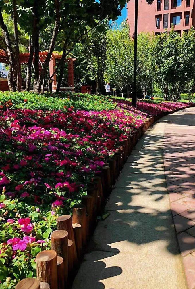 在北京卖二手房，什么样的房东最聪明？在成交的房源中，有一种现象让你大呼意外？