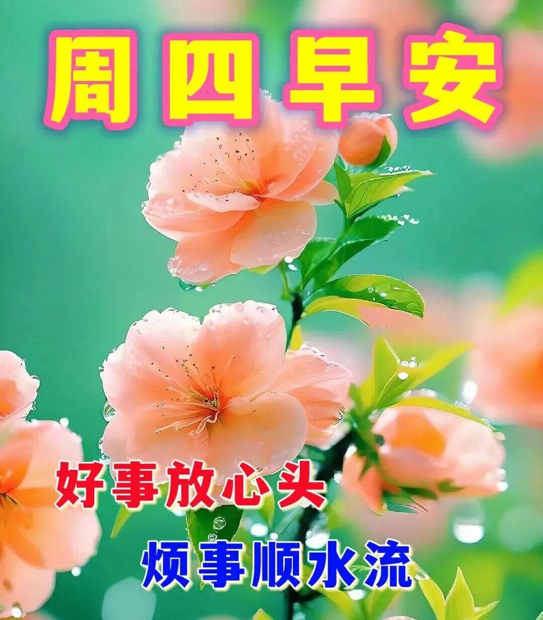 心底惦记最真诚，清晨问候最暖心。亲情友情长久不变，新的一天，愿你我平安健康、日日