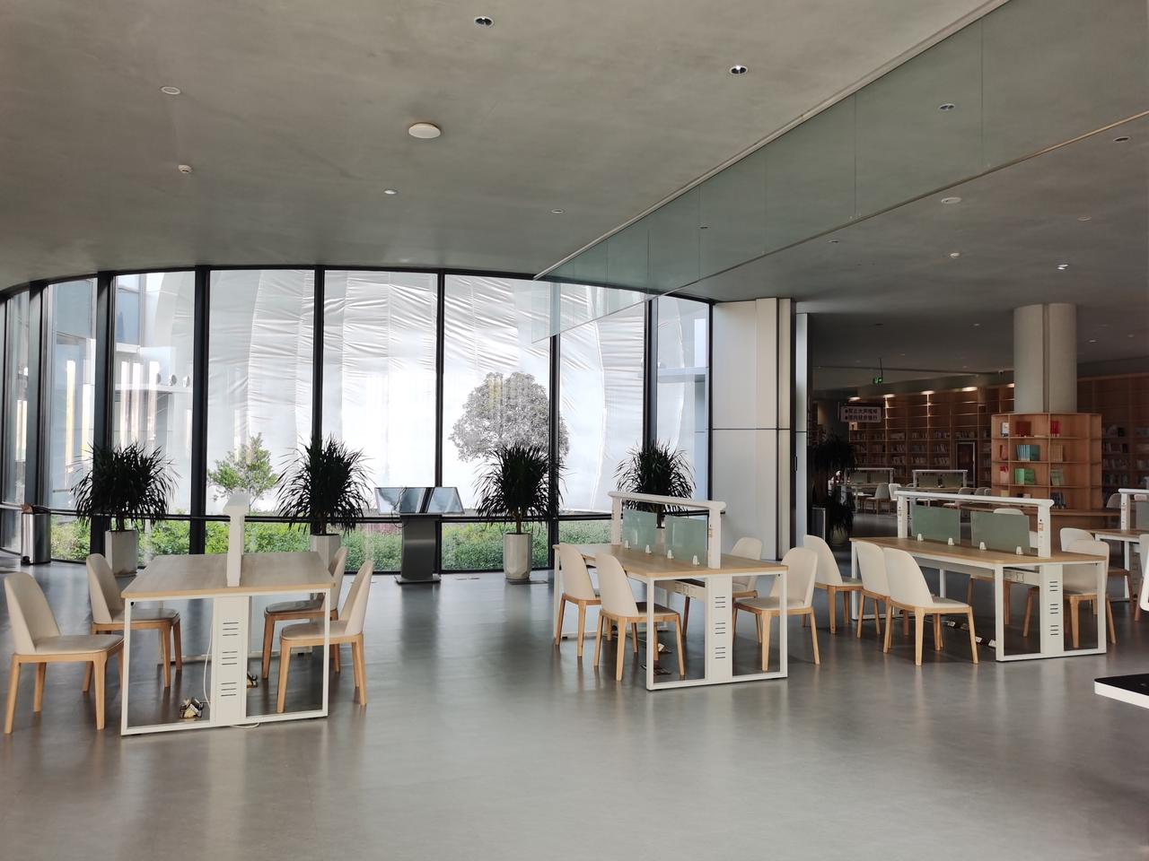 今日运势：丙午年壬辰月辛亥日2026.4.6日鼠：容易拖拉错过时间牛：