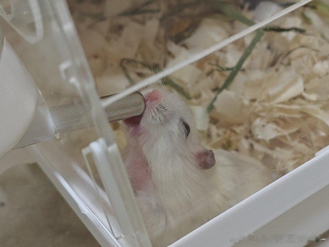 非得这样儿喝吗