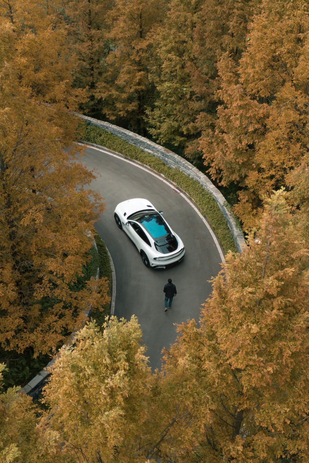 贵阳周边赏秋|我也不想发，实在太美～🍂小众秘境|秋日氛围|水杉林