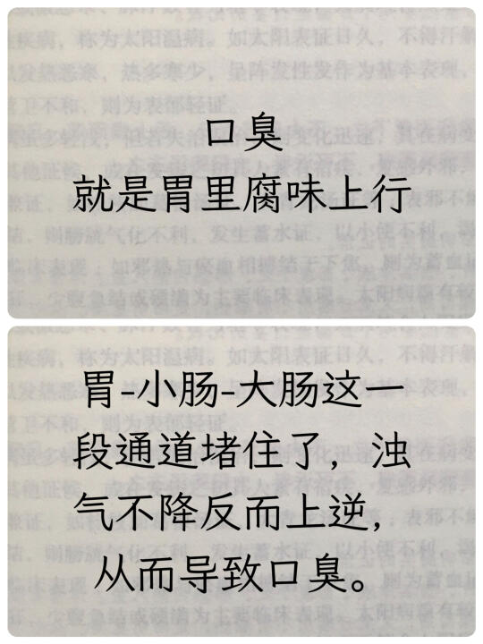 关于口臭😷能帮一个是一个❗