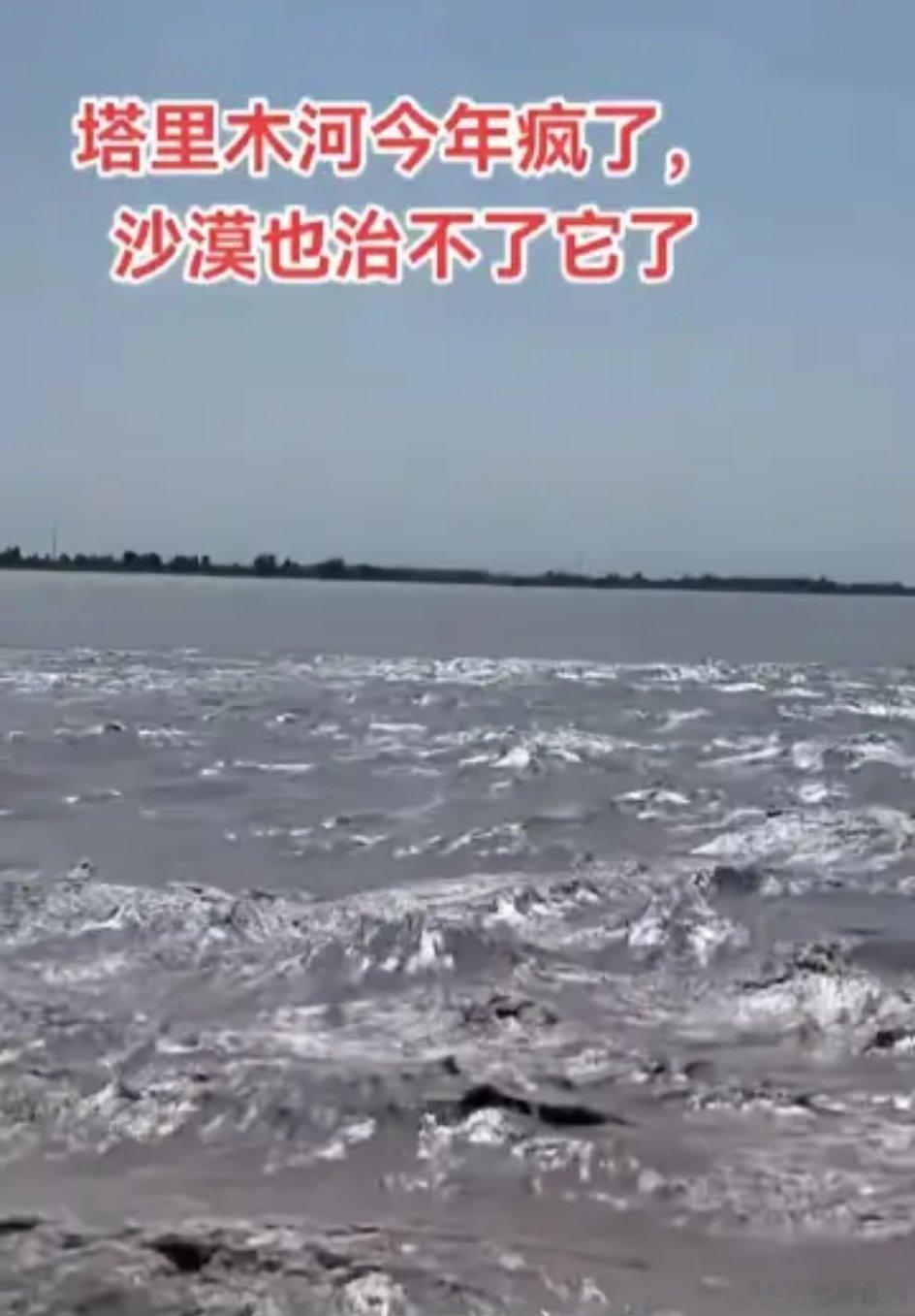 如果沙漠治不了塔里木河，那么就该轮到塔里木河治沙漠了。