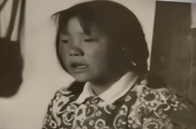 神农架深处为何被列为禁区？除野人外，还有四件未解之谜？当踏入那片被云雾吞噬的