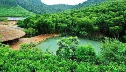 浙江·莫干山，以绿荫如海的修竹、清澈不竭的山泉、星罗棋布的别墅、四季各异的迷人风