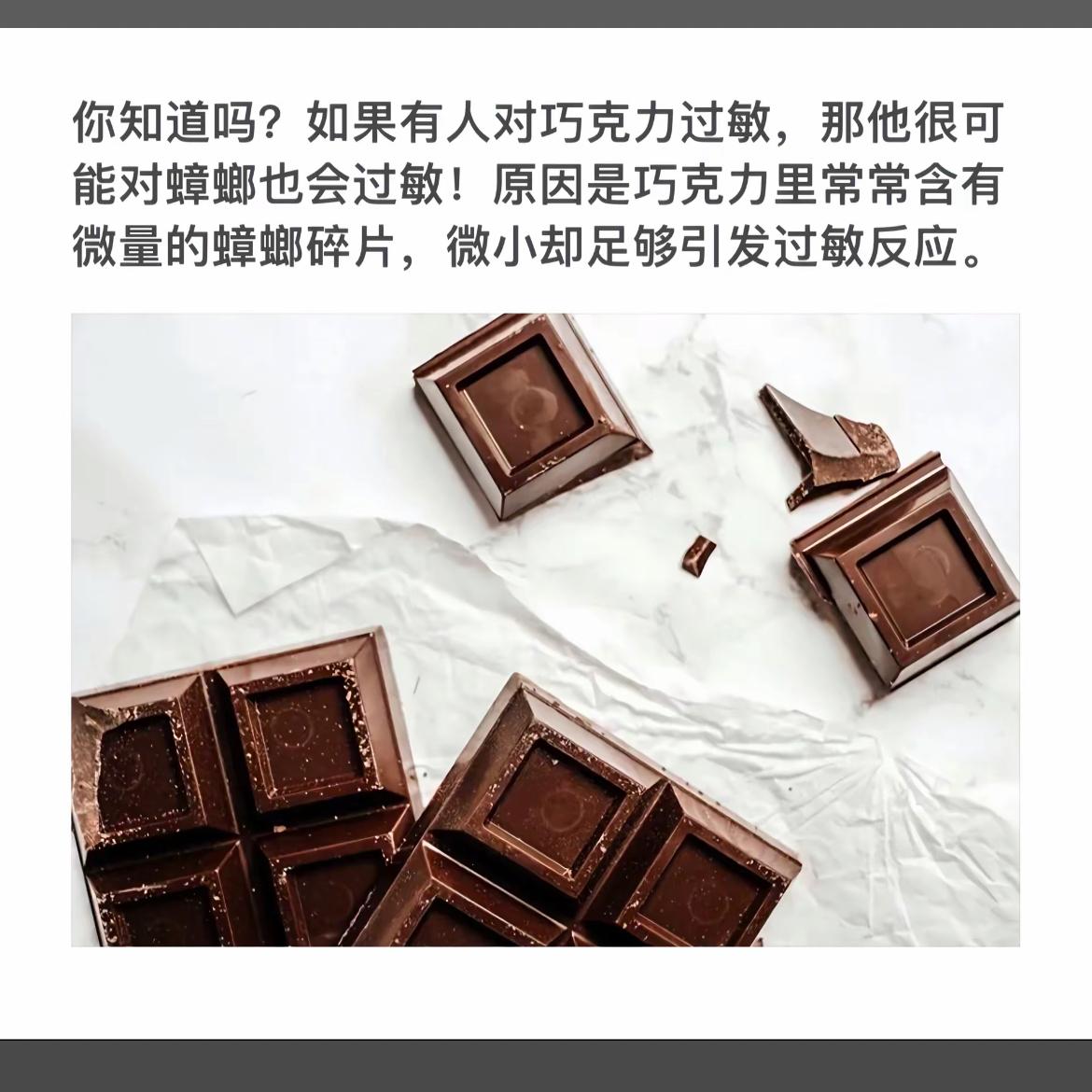 巧克力过敏？小心隐藏的“小虫子”！