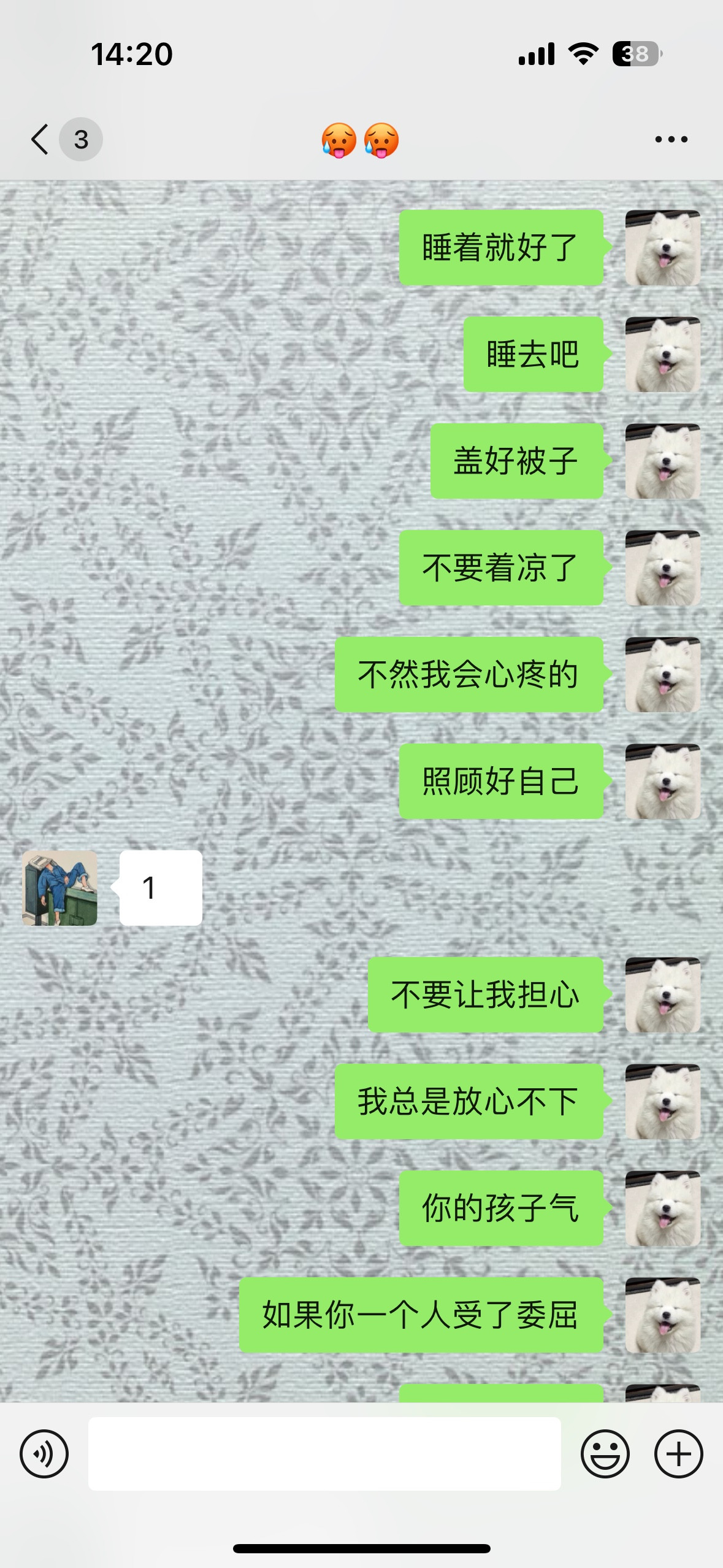终究是我错付了