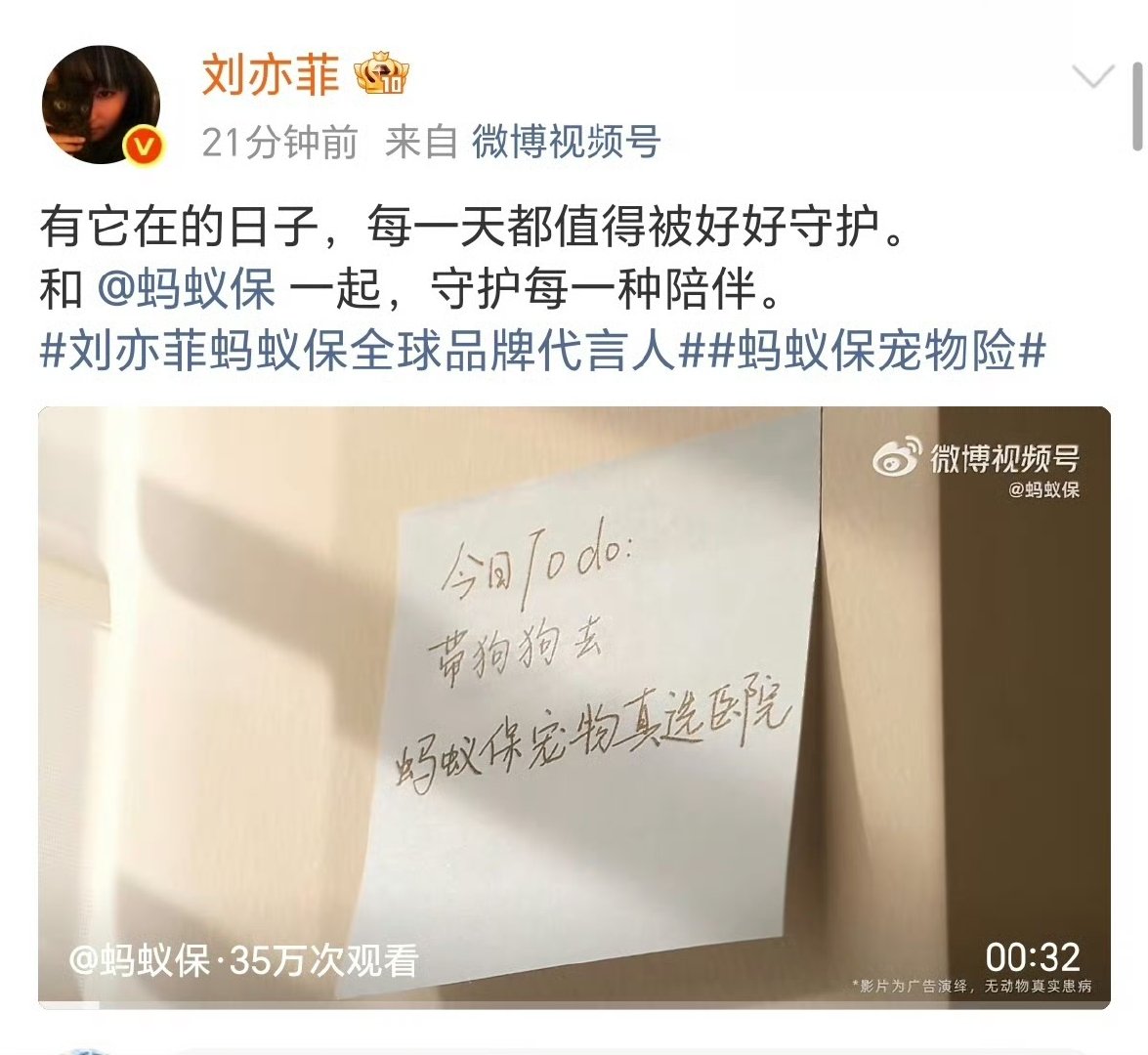 娱乐刘亦菲带哈哈拍广告刘亦菲的狗也拍上广告了刘亦菲带哈哈拍广告