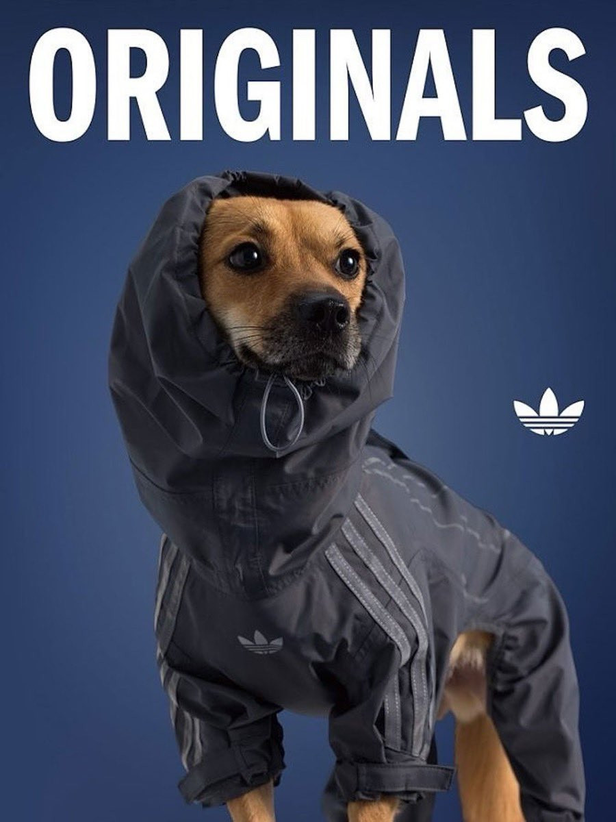adidasOriginals2025宠物collection要来了，啊哈哈