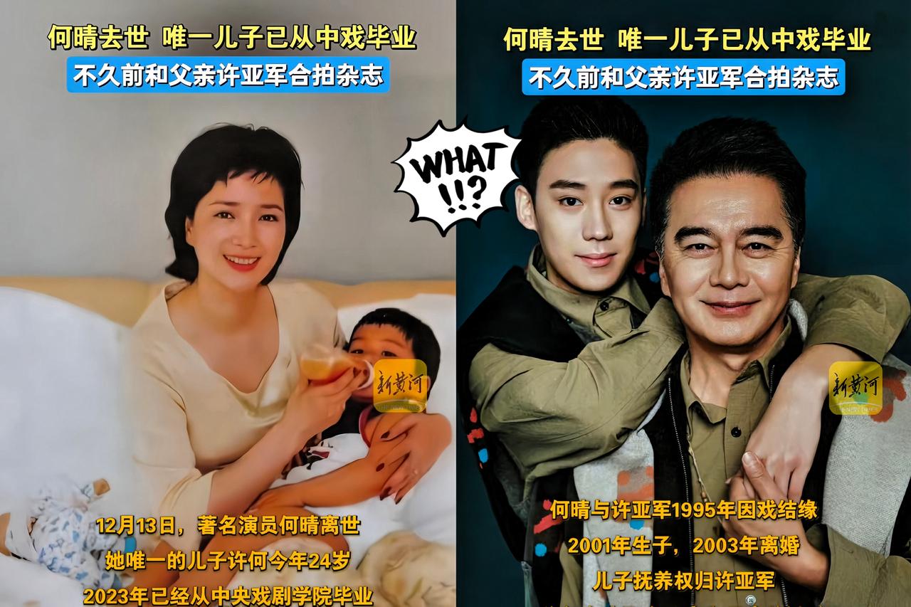 2000万的北京房子，何晴直接写进19岁儿子许何名下，手术台上签字时还叮