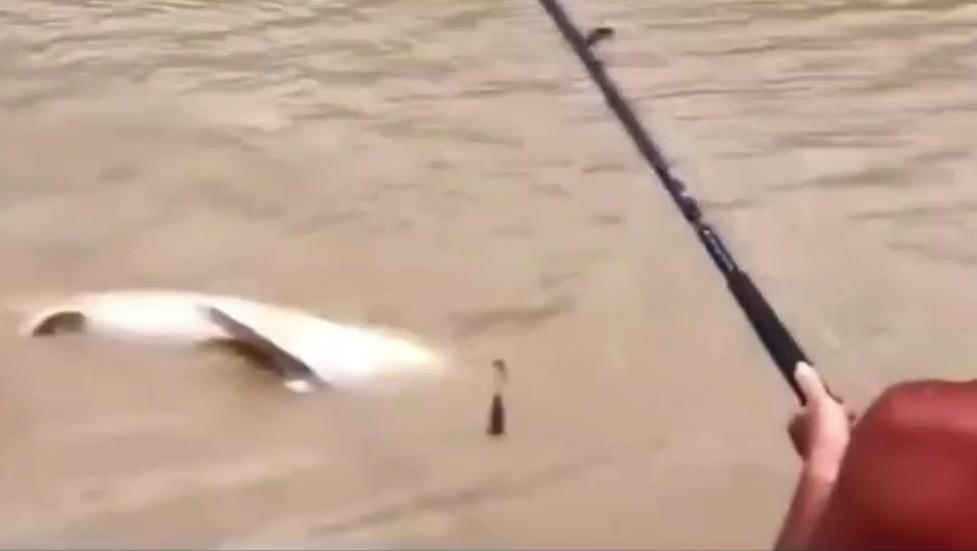 10941599806412660685.jpg?id=0