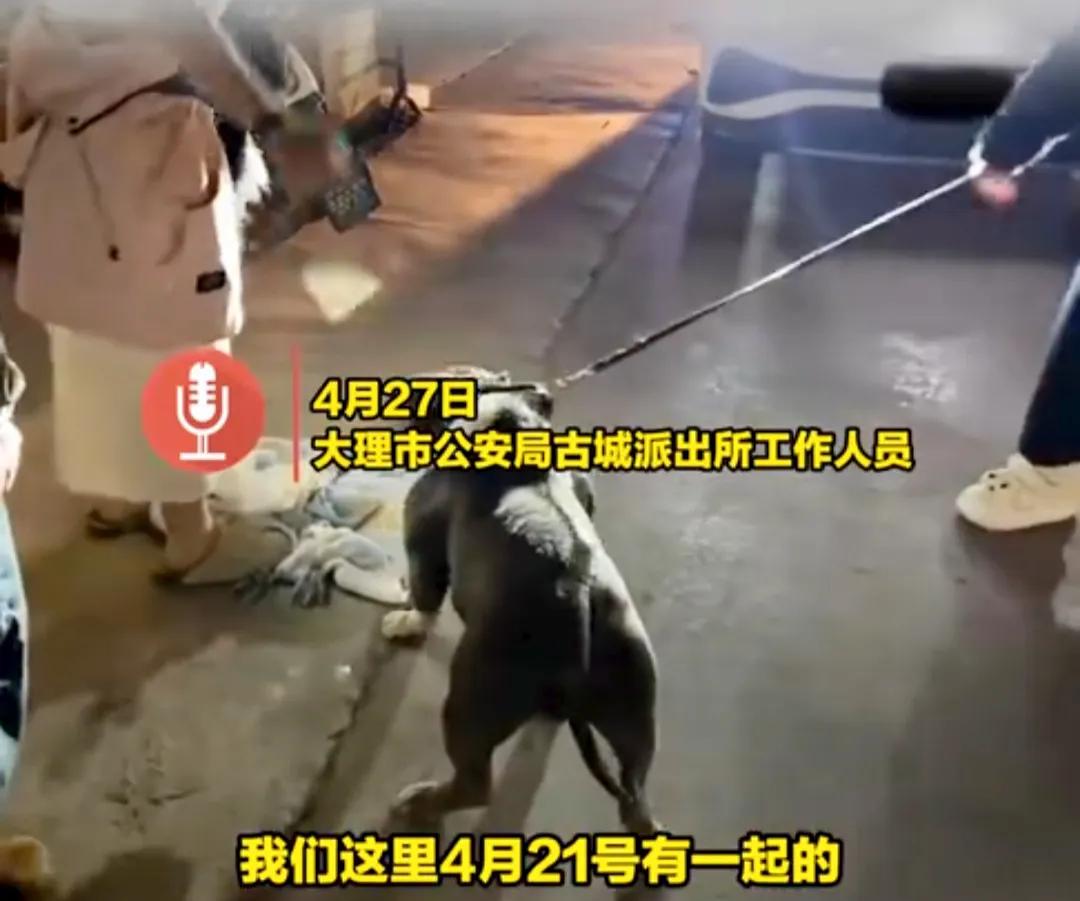 自己的狗咬伤了别的狗和人，不但不道歉，还扬言“我的字典里没有道歉这个词”，这样是