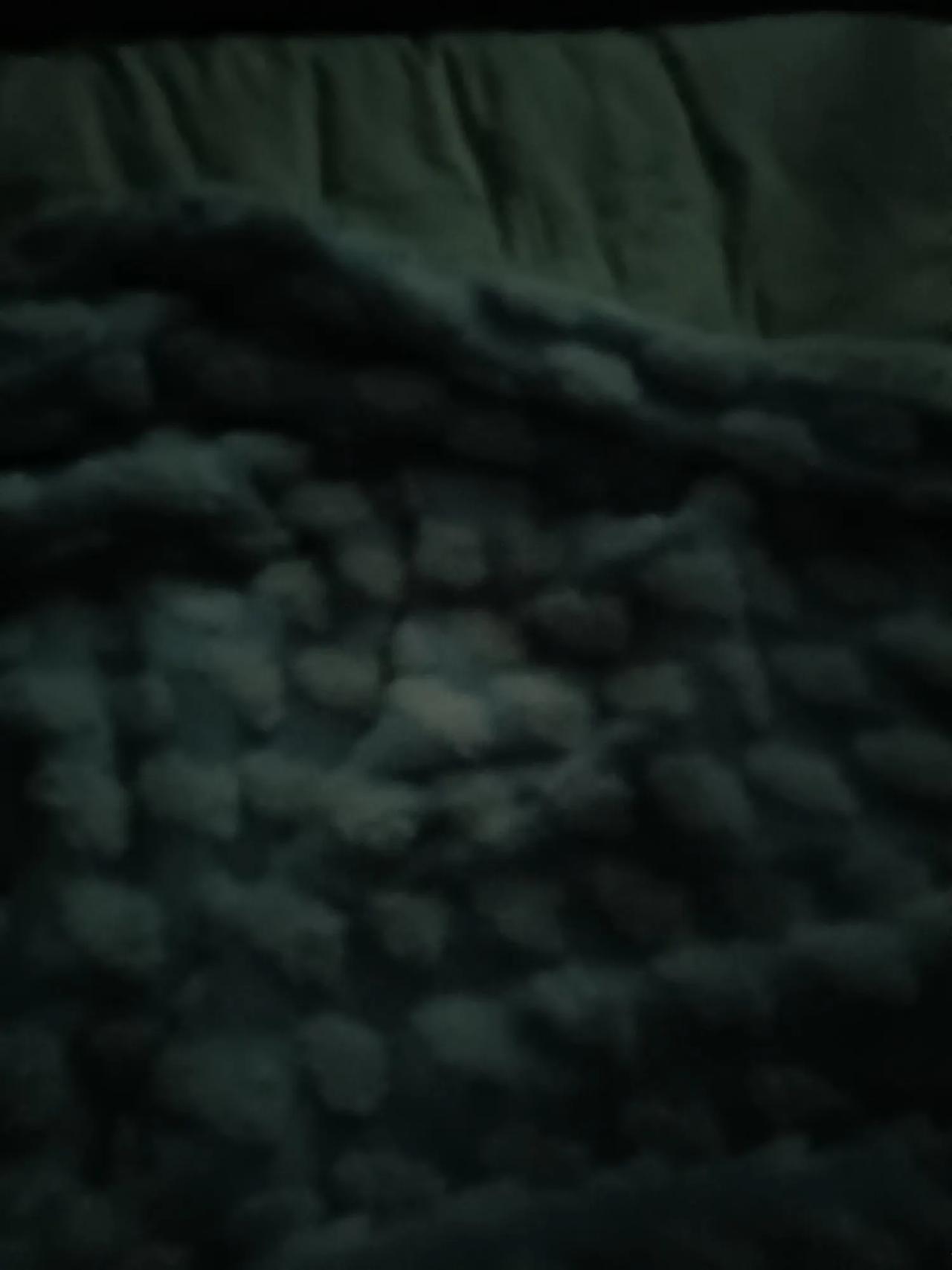昨天晚上问媳妇:你爱我不？她说:爱然后我说，我要是出事走了呢？她立即说: