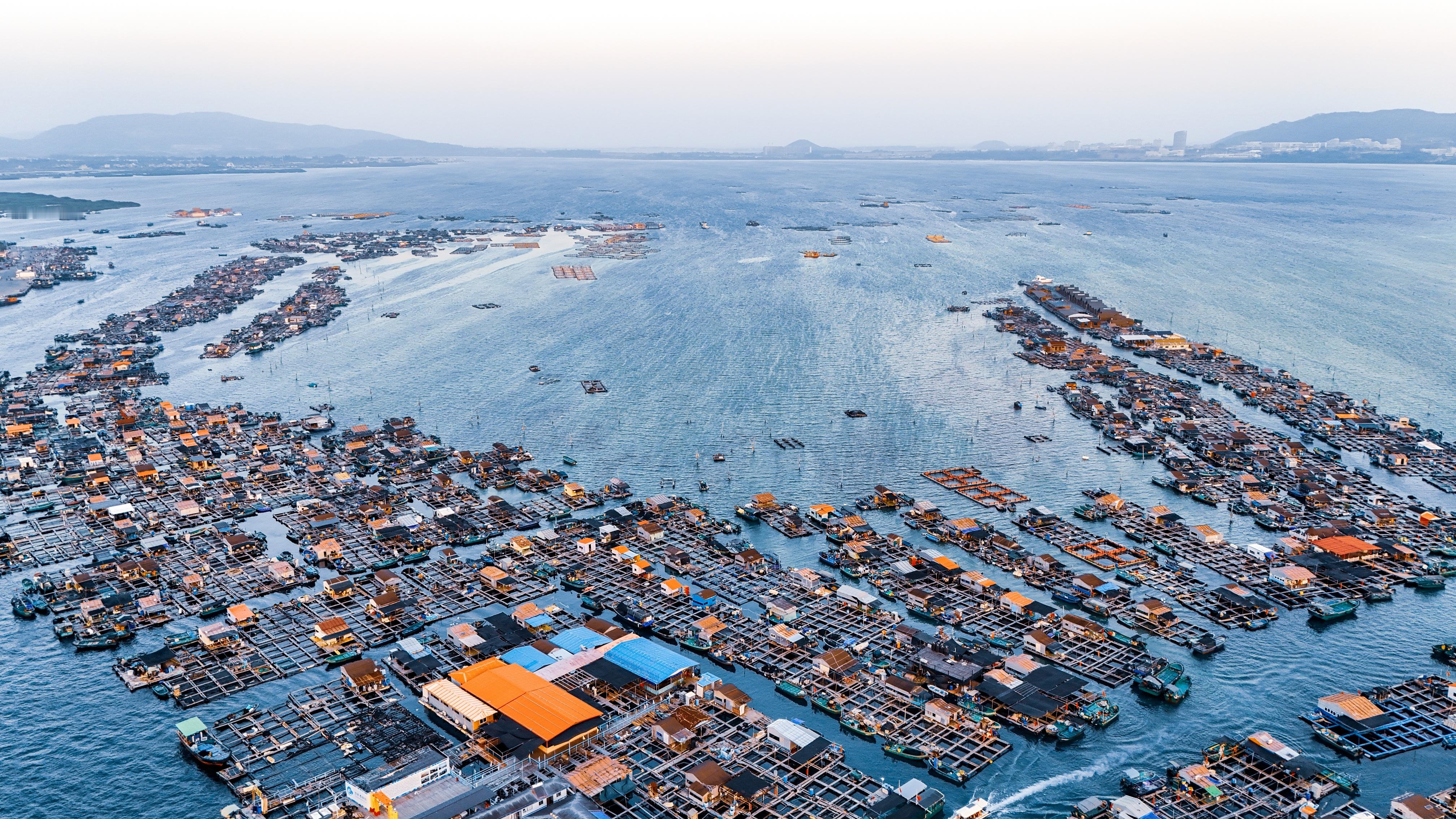 海南陵水猴岛，全球唯一热带岛屿猕猴保护区，跟疍家鱼排在同一个地方，有巨大的浅滩可