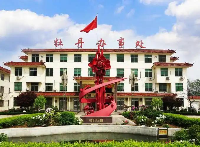 今天聊聊基层街道的用工大变局，我女儿就在街道上班，最近单位刚通知新政，让我感触特