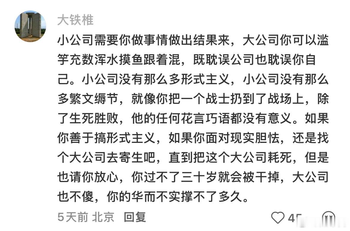 大公司跟小公司有什么区别
