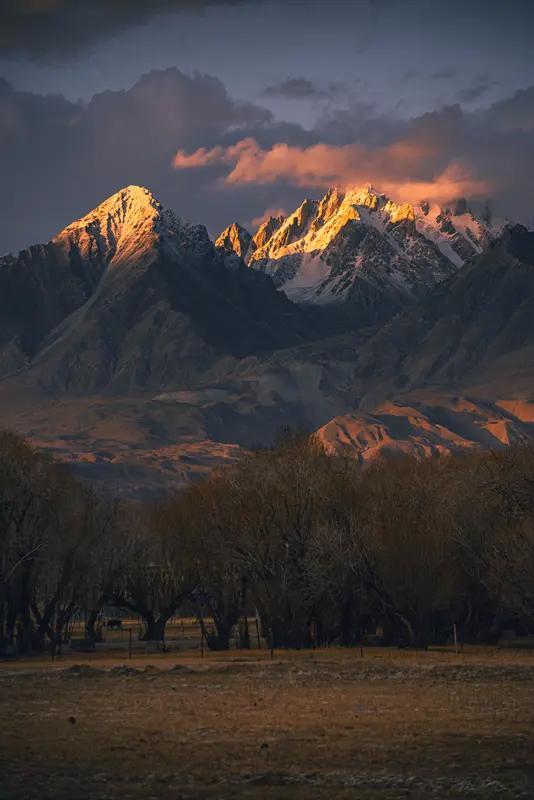 “聪明的人嘴甜，讨厌的人会演，实在的人只有被骗，以前总以为见人说人话，见鬼