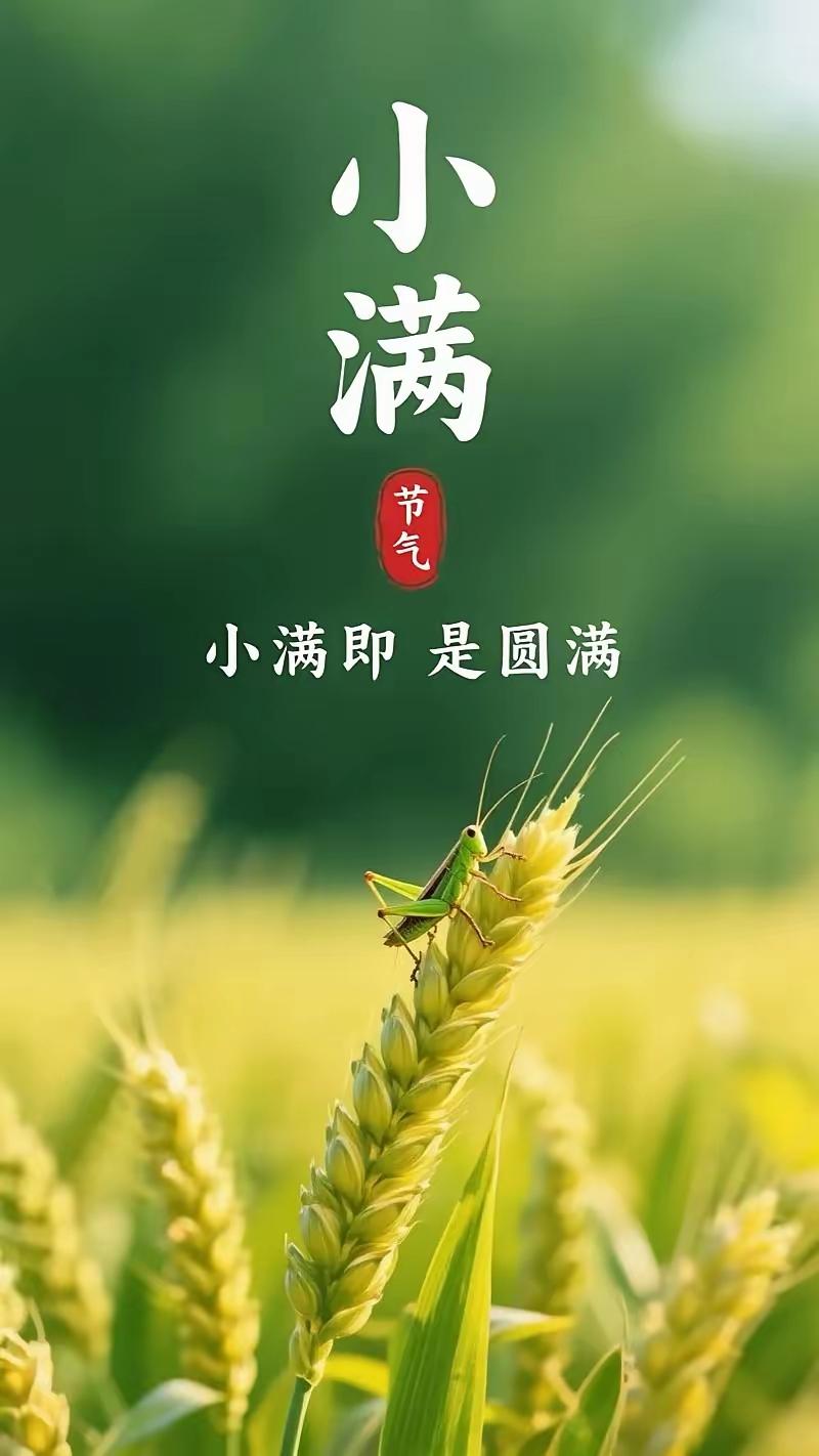 今日小满，小得盈满。梦想初盈，人生渐满。小满时节榴花开，枝叶低垂绿荫浓。小