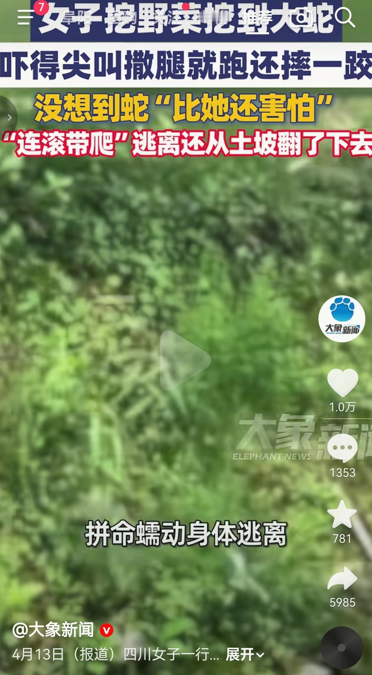 女子挖野菜挖出大蛇，吓得尖叫着连滚带爬跑，结果蛇比她还慌，拼了命逃窜还翻了土坡。