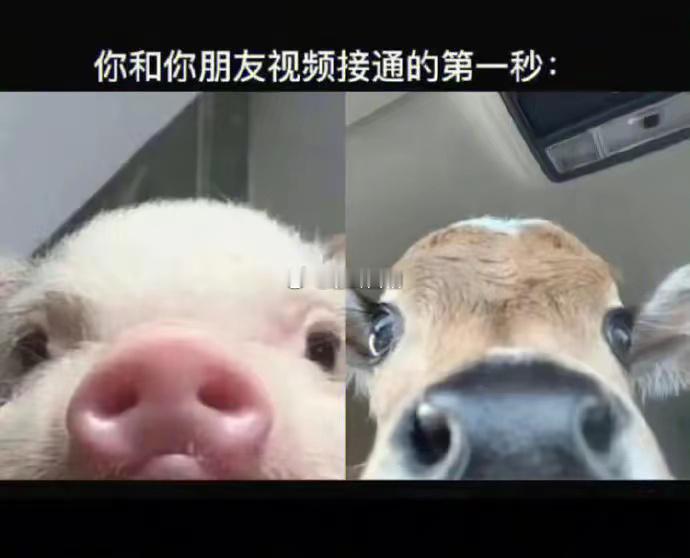 双子座的人拥有聪慧且充满奇思妙想的头脑，思维敏捷如闪电，对世界充满好奇。性格活泼