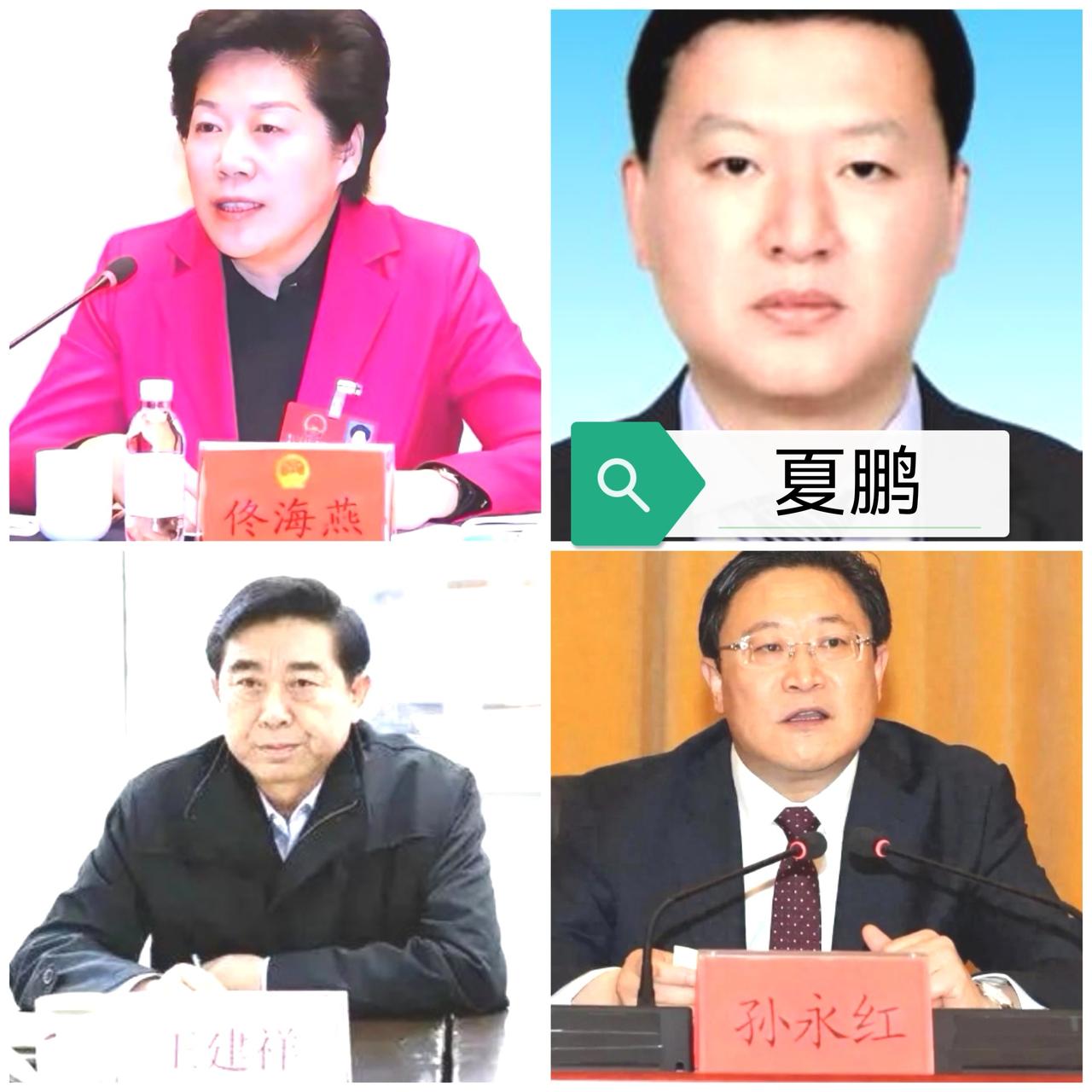 青岛市，黄岛区还在发酵？今天，曾深耕黄岛区的佟海燕官宣。佟从原胶南市团委