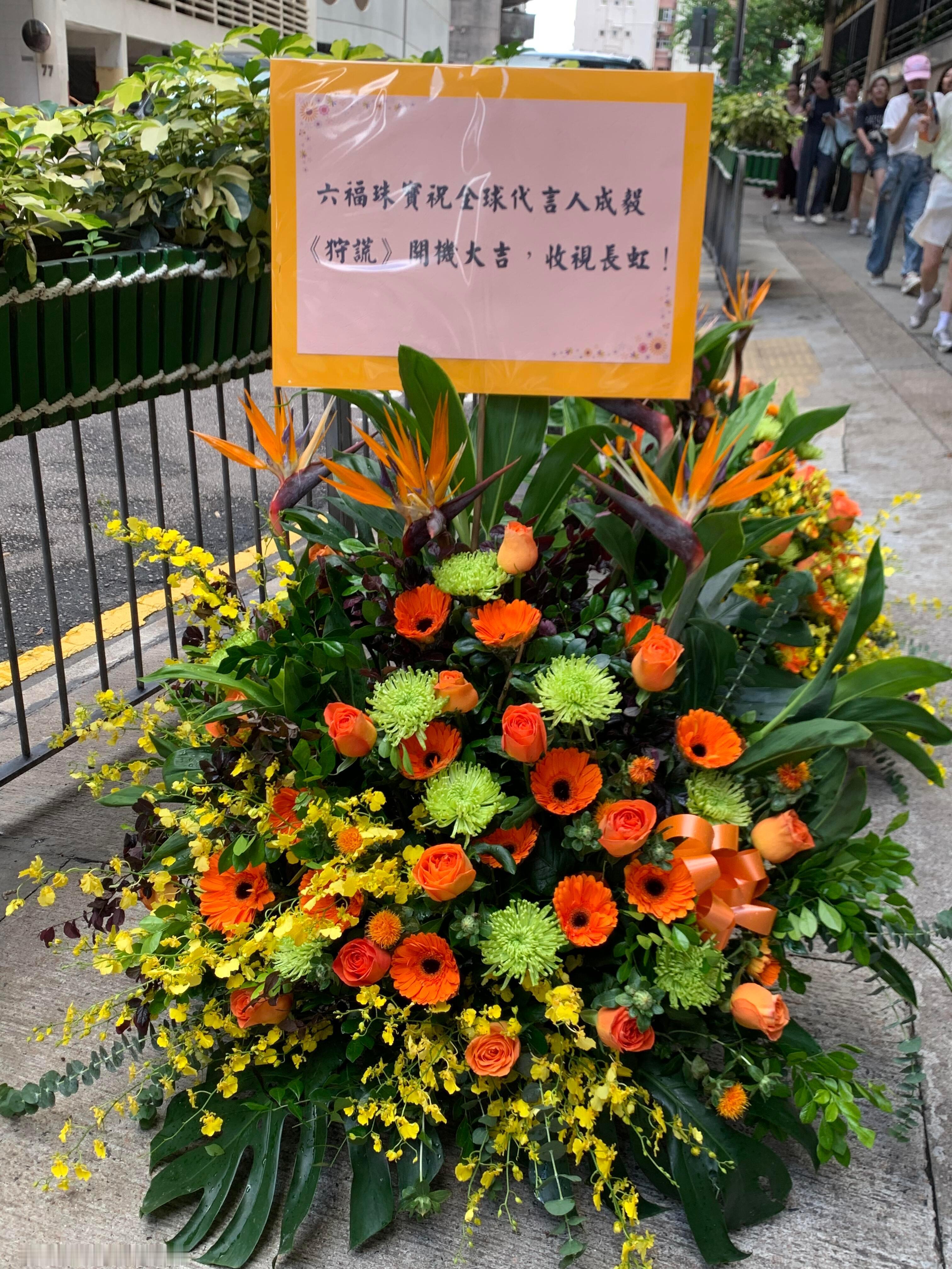 不愧是生图王者，初见林sir港真~太美貌了吧祝狩谎开机大吉，收视爆晒灯