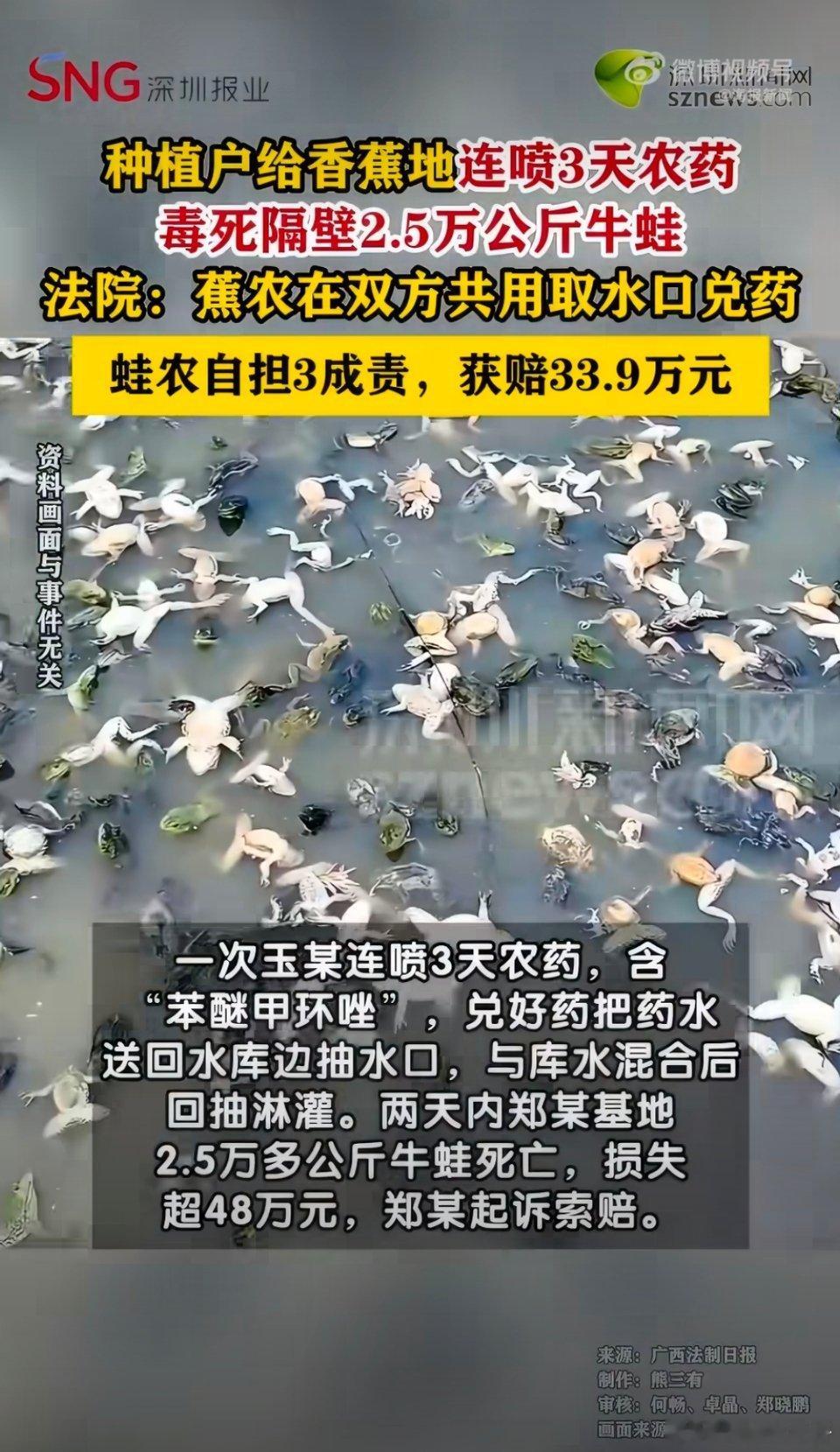 香蕉地喷3天农药毒死隔壁5万斤牛蛙原来种植香蕉也需要喷这么多农药啊！！！把5万斤