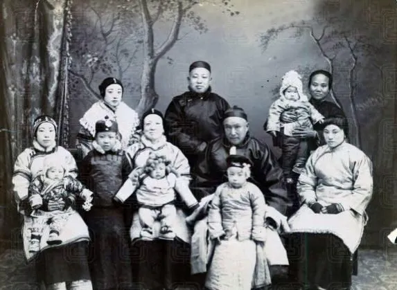 1974年，90岁的杨森迎娶了17岁的张灵凤。洞房之夜，就在杨森要行房事时，张灵