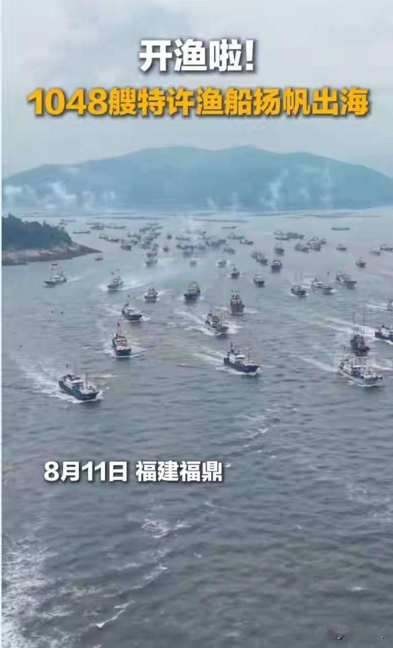今秋第一网东海梭子蟹已回港，带花纹的有毒吗？死了的还能吃吗？消费提示请收藏
