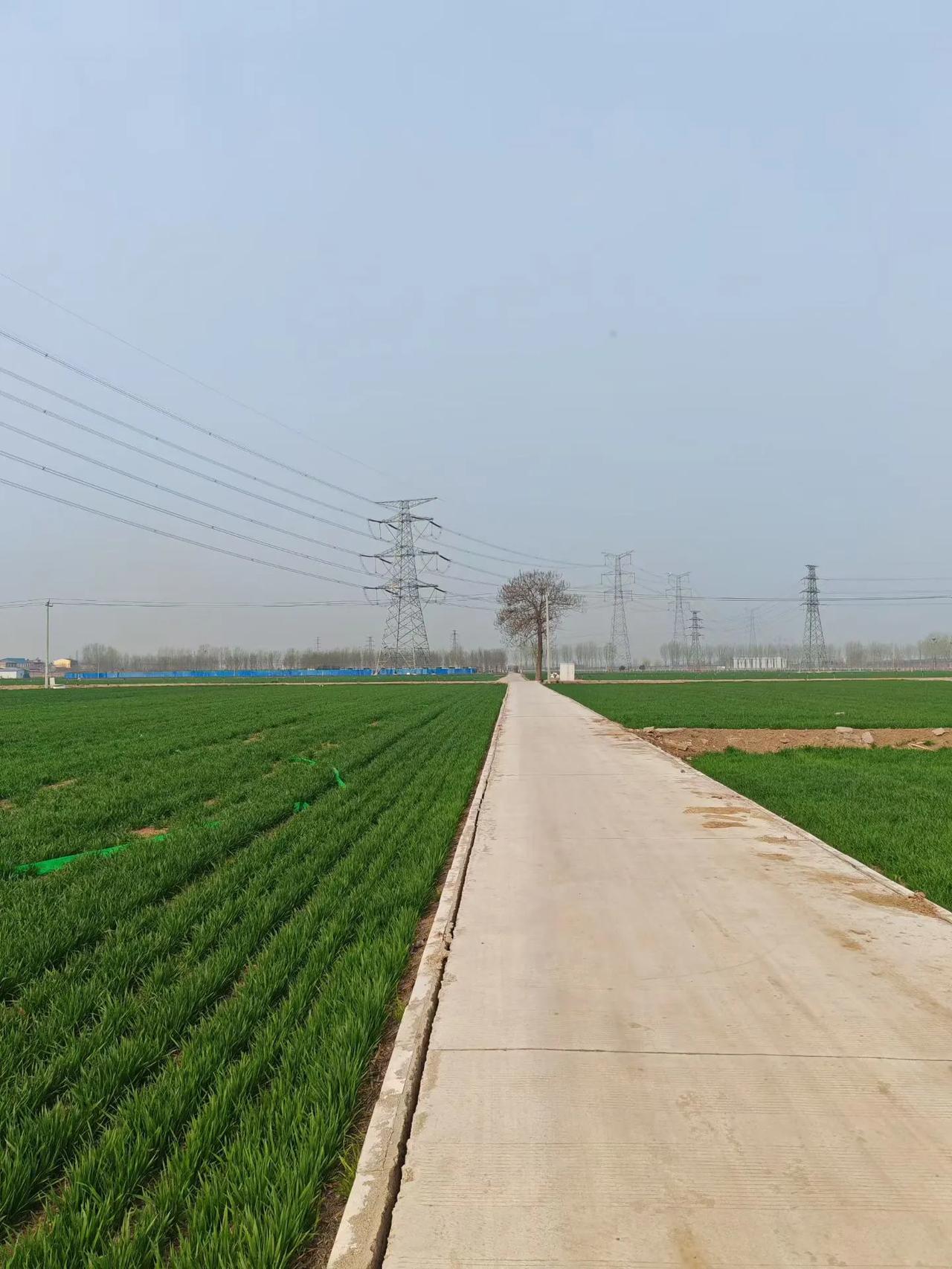 【清明祭】清明时节。返乡祭祖。连天碧绿中，引燃纸钱，烟缕袅袅中寄托哀思。​（韩