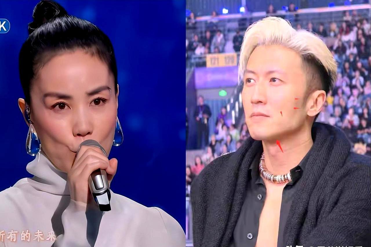 谢霆锋为爱疯魔抛弃亲子？这偏见错得离谱。启德体育园演唱会上，王菲在看台随歌