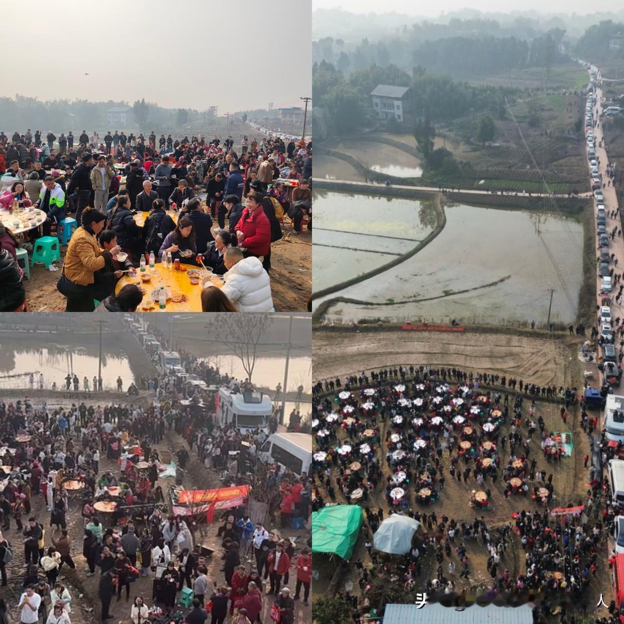 重庆呆呆的刨猪汤事件持续发酵，如今最大的受益者已经浮出水面——既不是当事人呆呆