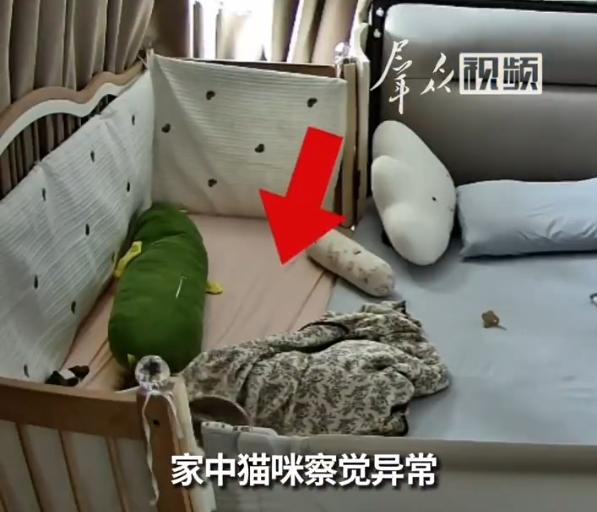 山东临沂一只小猫立了大功。 8月8日上午，山东临沂一位宝妈林女士在家午休，身
