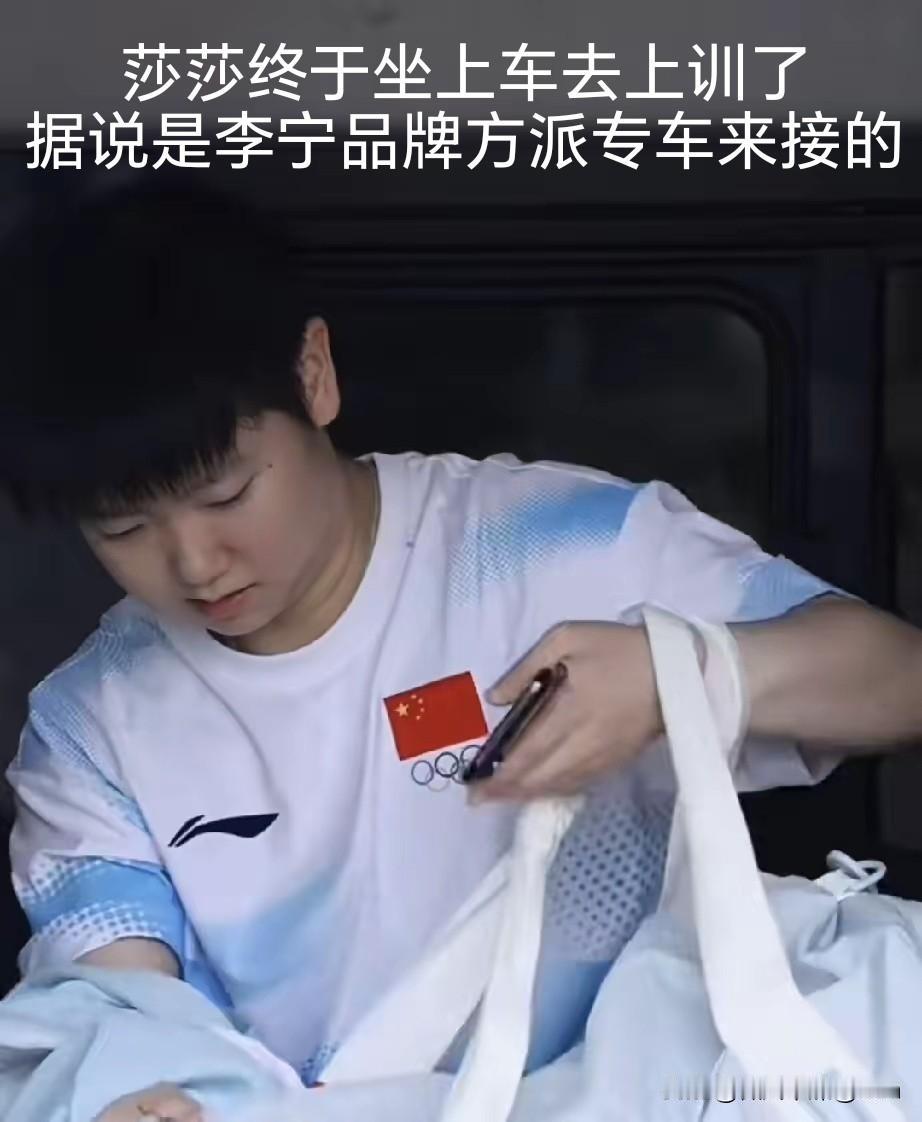 今天国乒因为等车，最后训练都迟到了。今天早上看到国乒和其他代表团下了游轮，在码