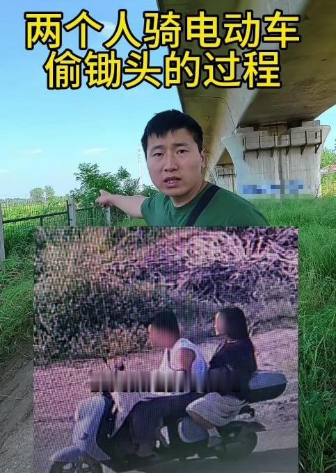 网红边牧“锄头”被180元卖掉，狗主人拒绝和解，狗肉馆老板又说出更多内情！锄