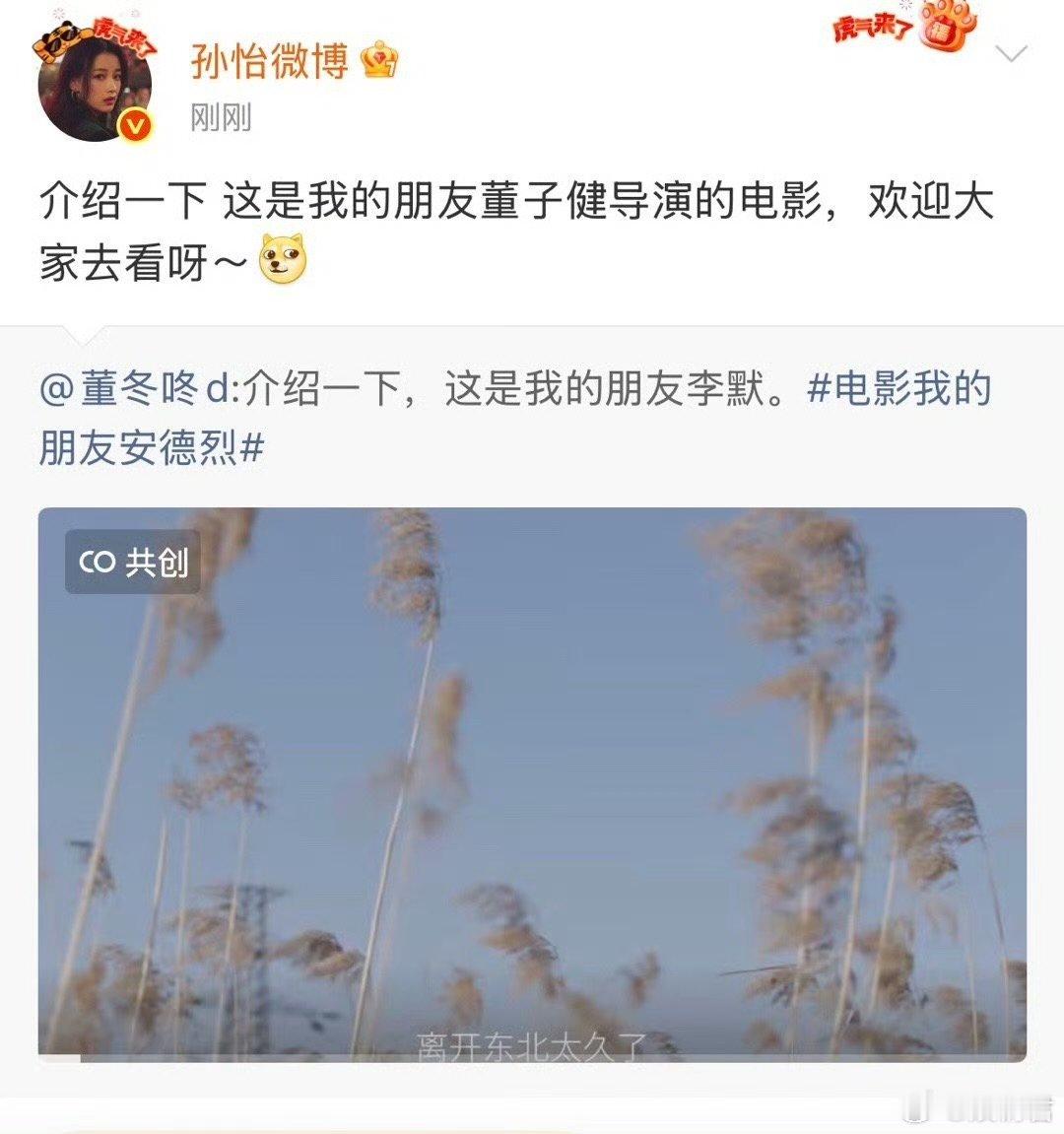 孙怡也真是个神人体面人