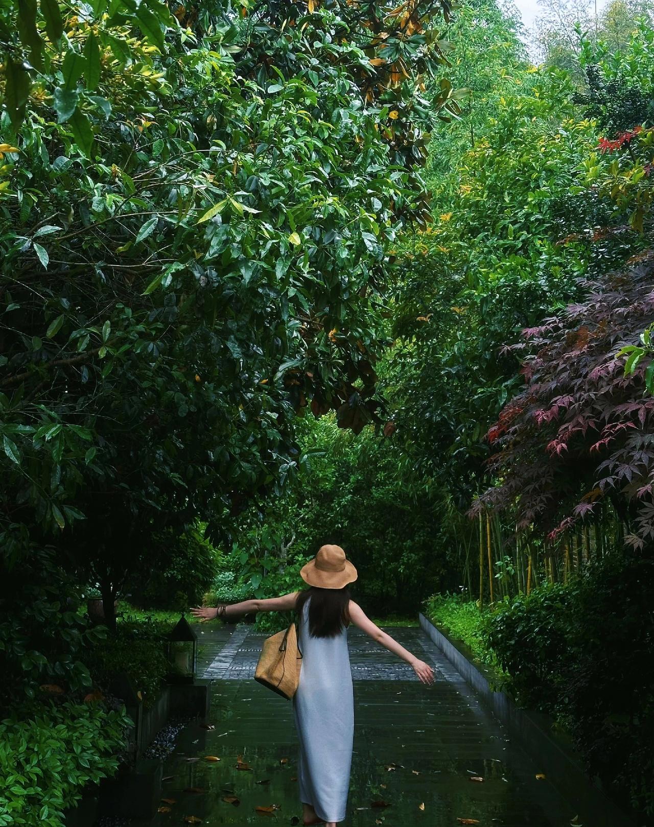 漫步在雨后绿意盎然的林间小道，感受大自然的宁静与美好。🍃🌿🍂你有清晨跑步的