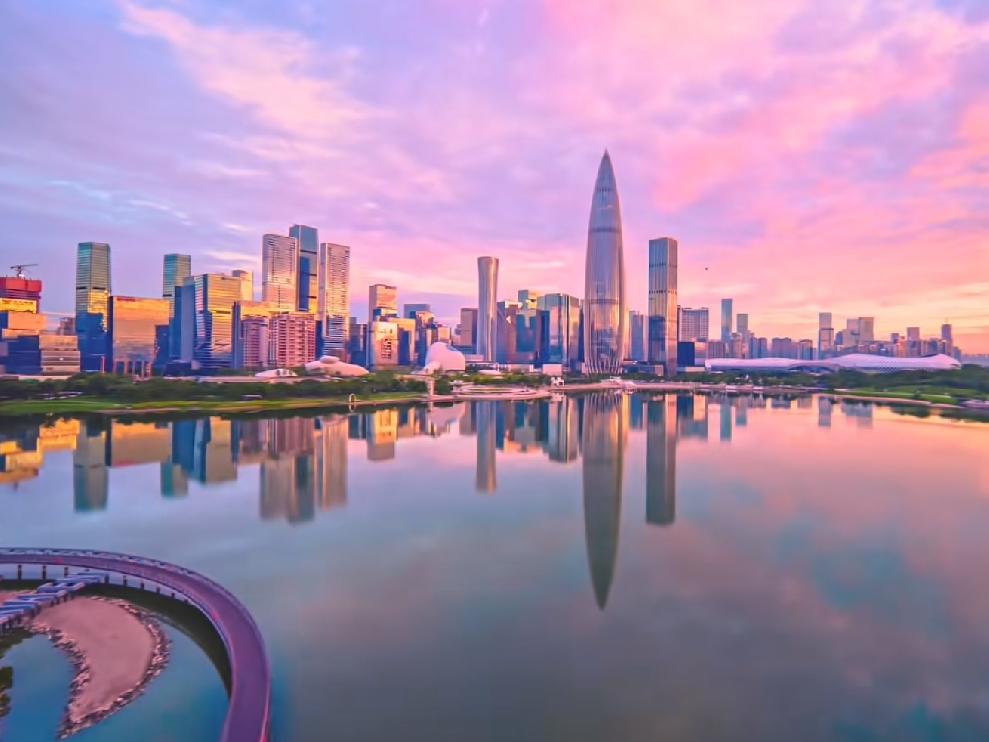 深圳市上半年营业收入最高的公司，据不完全统计：6家公司上半年营业收入超过3000