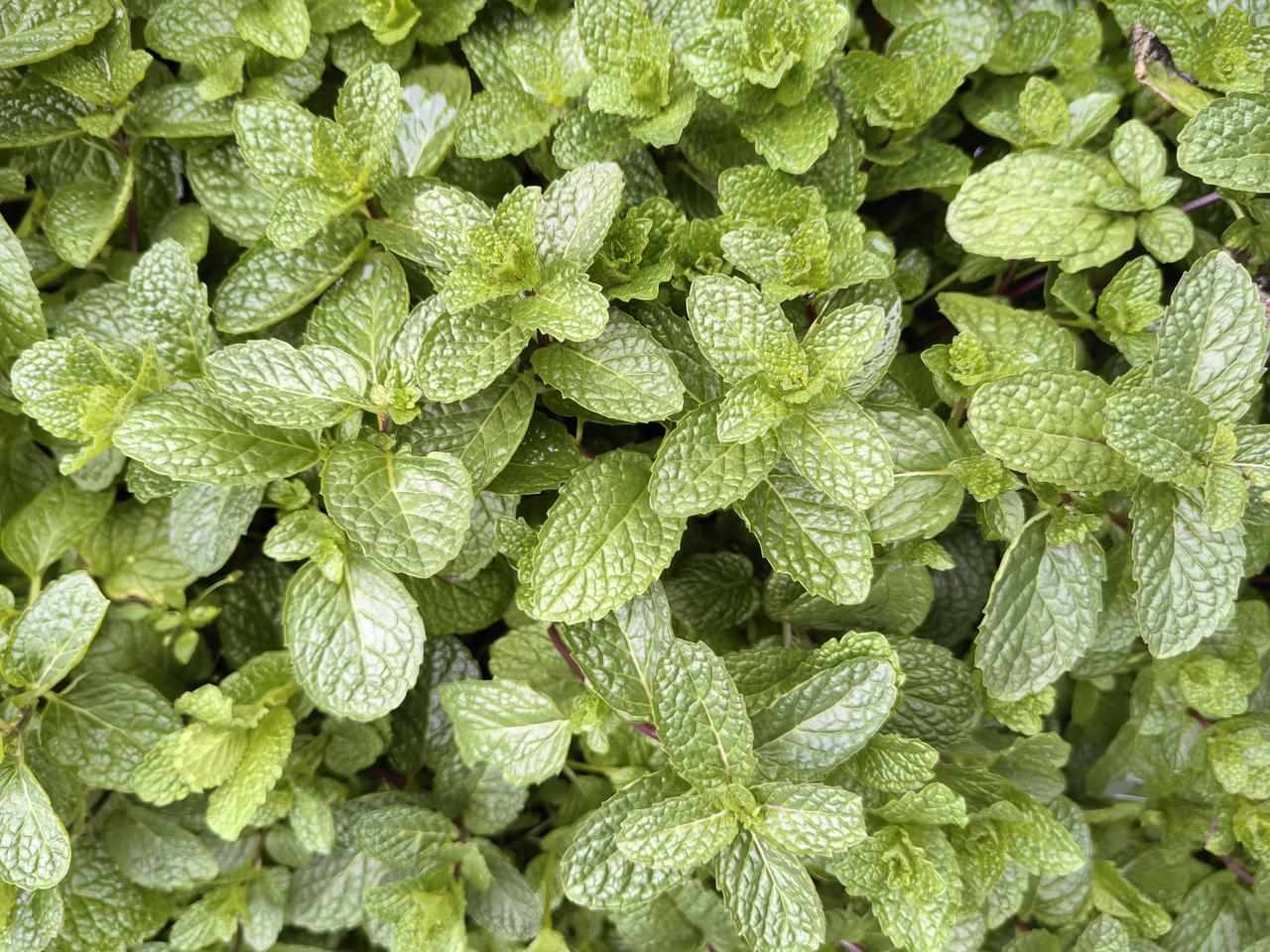 父母有不是，做子女的能说吗？我认为父母如果有不是，比如认知低下，跟不上时代，