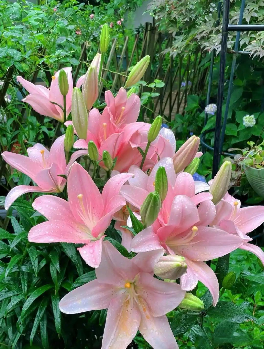 我有时候挺恍惚的。我这小破公司，总共就那么几个人，竟然一个都没走，跟着我干