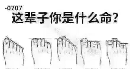 “富贵命”听着爽，可72%的ENTJ照样加班到凌晨；长三角“享福命”最多，38%