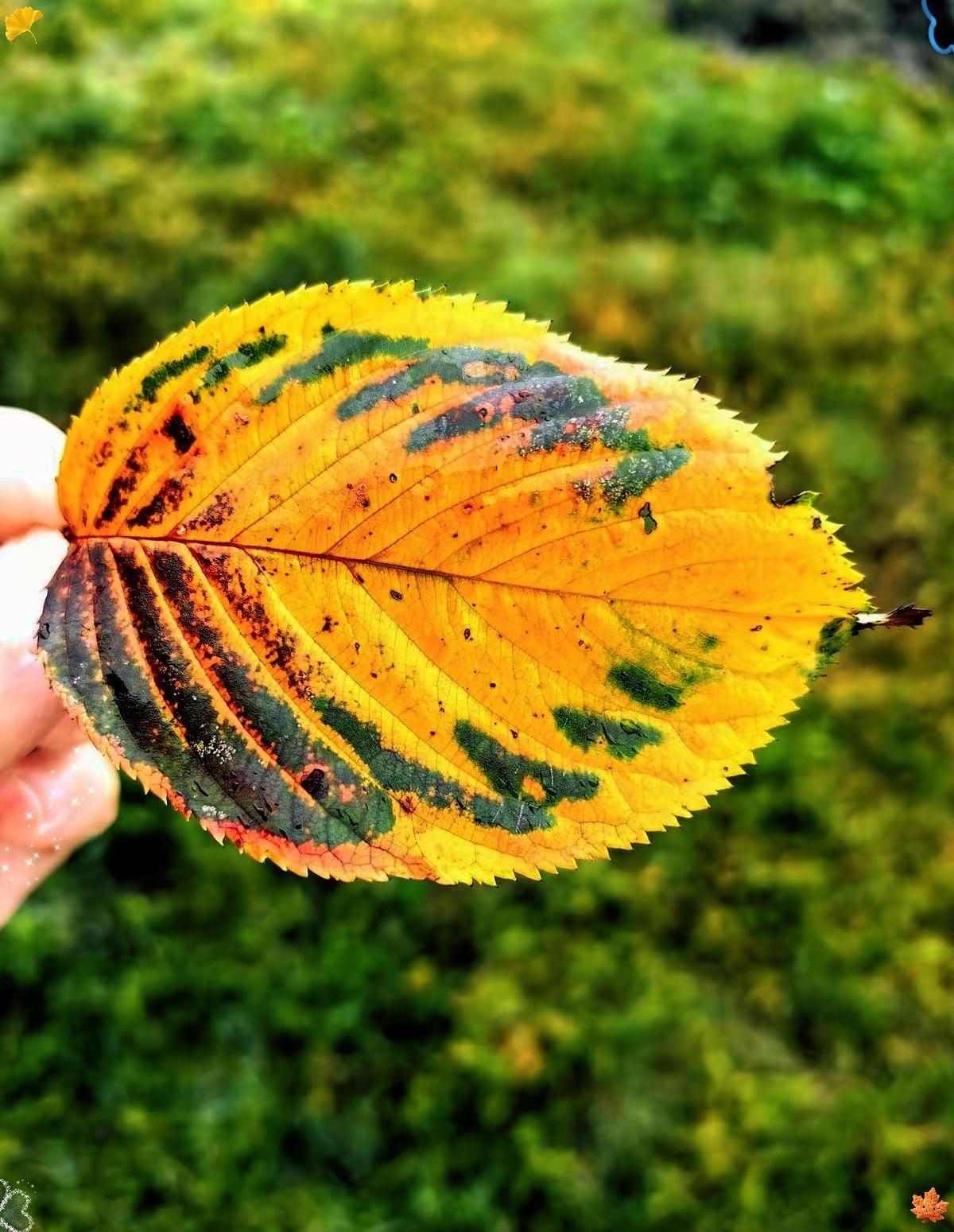 我跟你讲，我似乎挖到个健康大秘密！像高血压、高血脂、高血糖，说得玄乎，其实病根特
