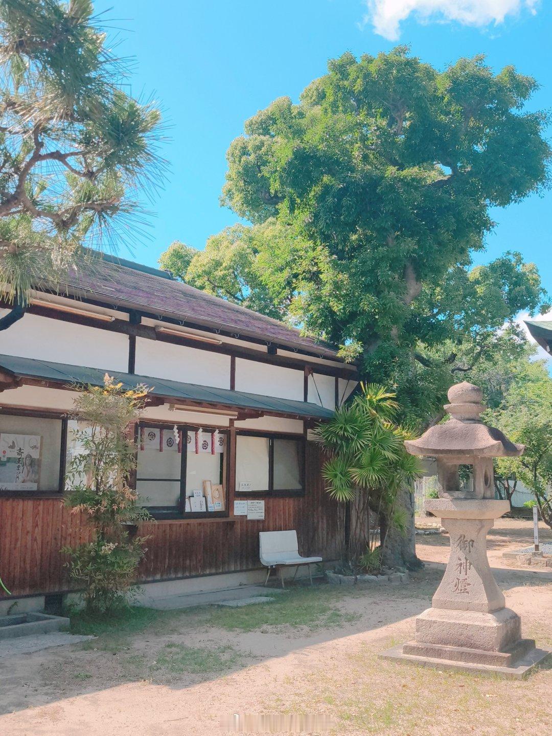 谁在这种天气走在日本的街道上能忍住不拿相机拍两张，我住了十年都忍不住。