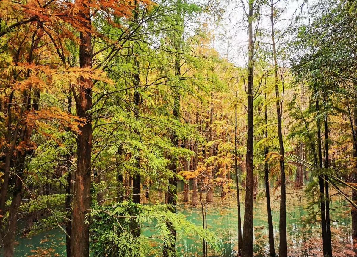 养孩子不是付出，是你的大脑在领奖金。2023年的跨国研究揭晓了真相：陪孩子搭积