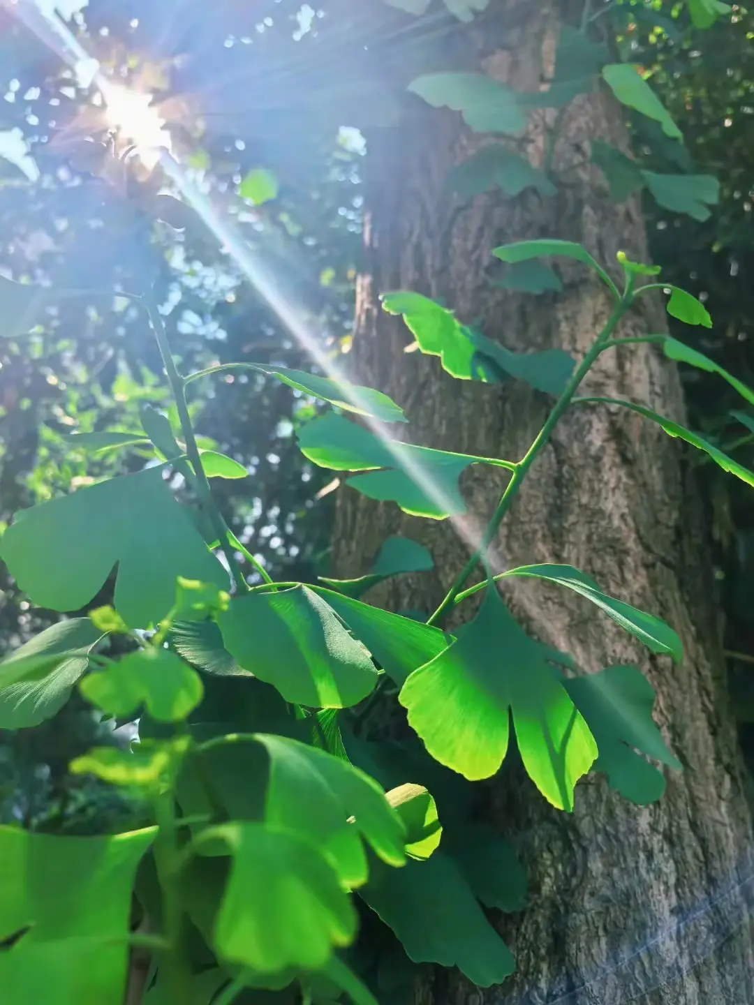 一个扎心的事实，其实自家的孩子有没有出息，学习的好坏，作为家长是最深知不过的。
