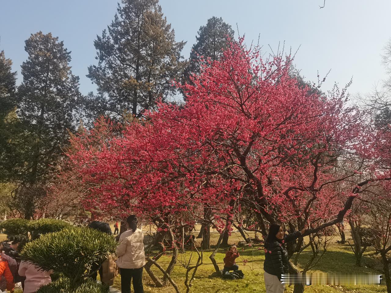 上海楼市松绑会带来什么变化？据说上海这次先于北京松绑有人说上海松绑会虹吸