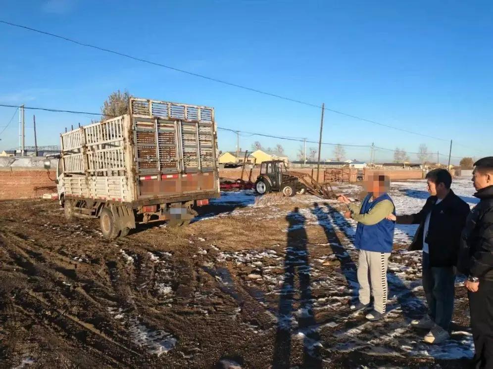 男子给女主播刷礼物盗取邻居家放养得10头牛。近日，内蒙古呼伦贝尔市鄂温克族自治
