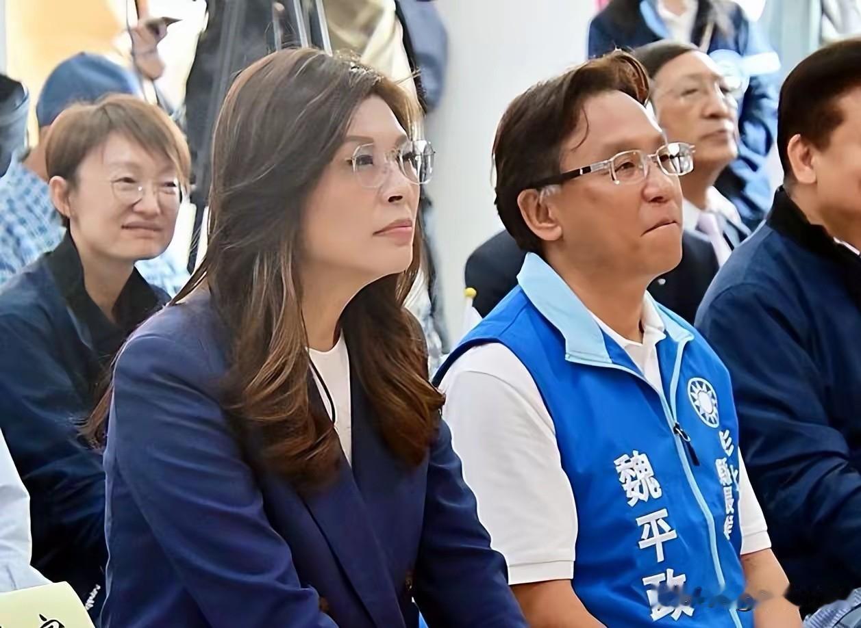 马英九时期行政部门负责人陈冲、内政部门负责人李鸿源，前陆委会副主委张显耀等蓝营重