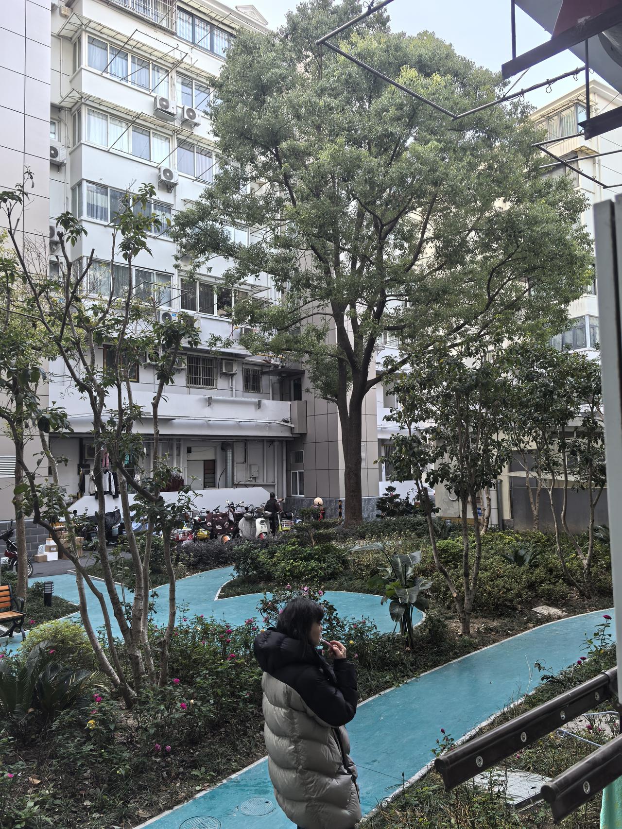 这是我陪着老爸就医，来上海的第四个清晨。时间匆匆过得很快，昨天睡得算是最好的一