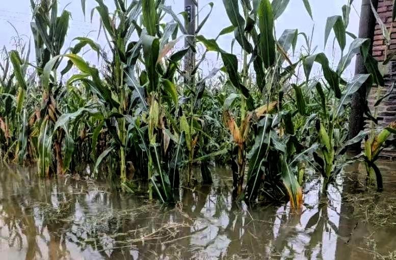 我爷爷今年82了，看新闻里说涝灾，他就念叨："这雨，跟1964年那天杀的一模一样
